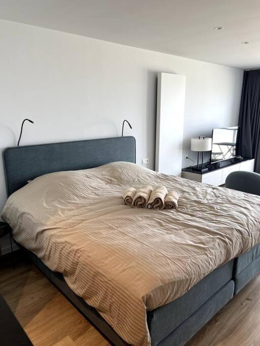 Suite 16 Blankenberge Extérieur photo